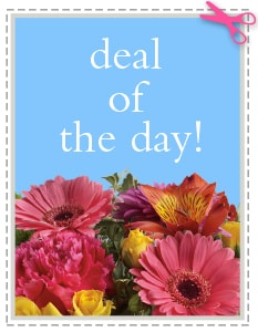 Send The Best Deal of the Day - Biggest Freshest Arrangement